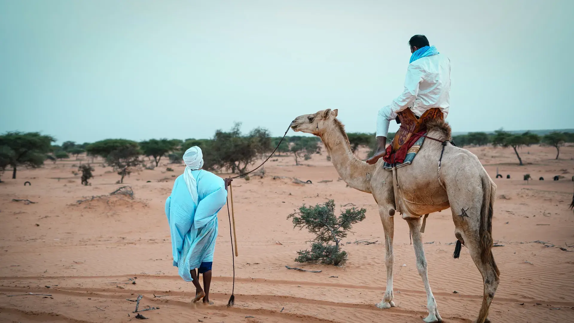 موريتانيا