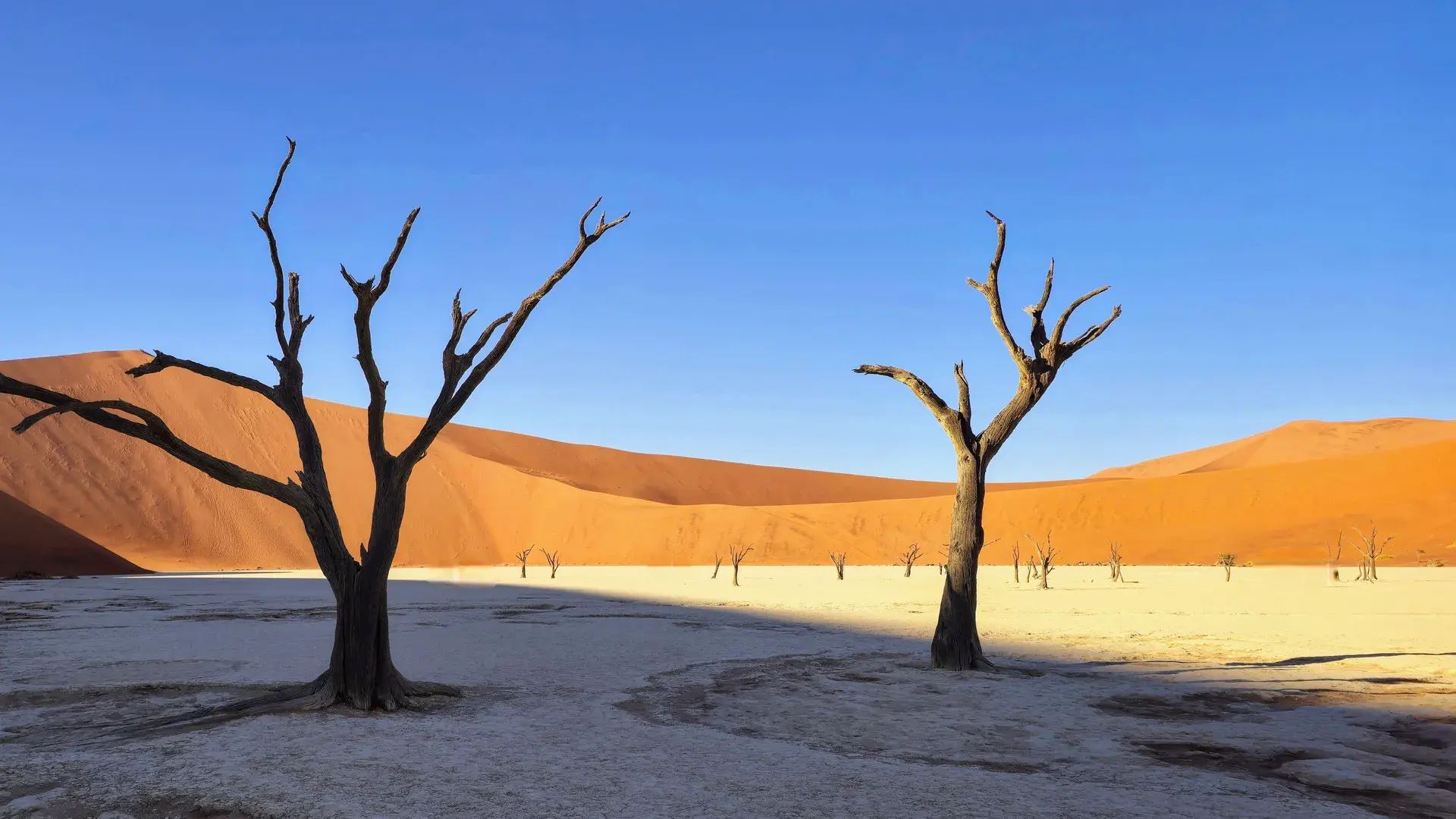 ناميبيا
